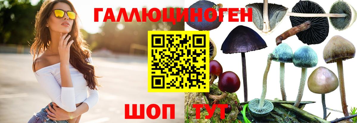 Реутов  Галлюциногенные грибы Psilocybe  Вход с VPN  Псилоцибиновые грибы мухоморы 